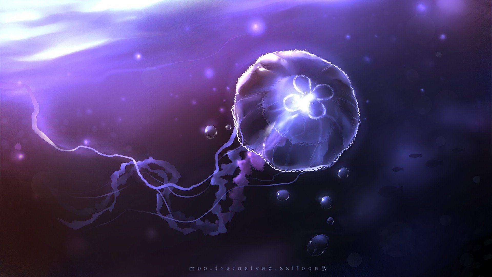 1920x1080 Queen Jellyfish, HD Creative, 4k Wallpaper, Image, Background
