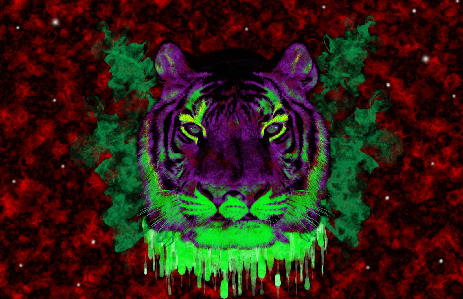 1600x1035 Trippy Lion Wallpaper