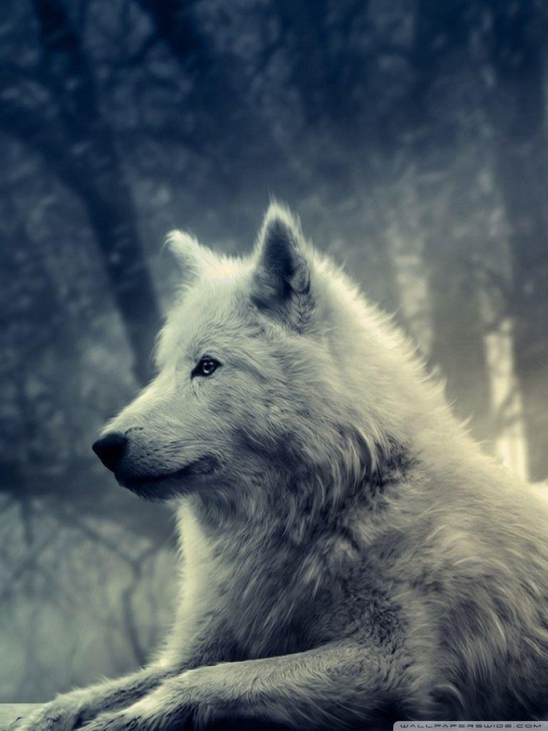 768x1024 White Wolf Painting ❤ 4K HD Desktop Wallpaper for 4K Ultra