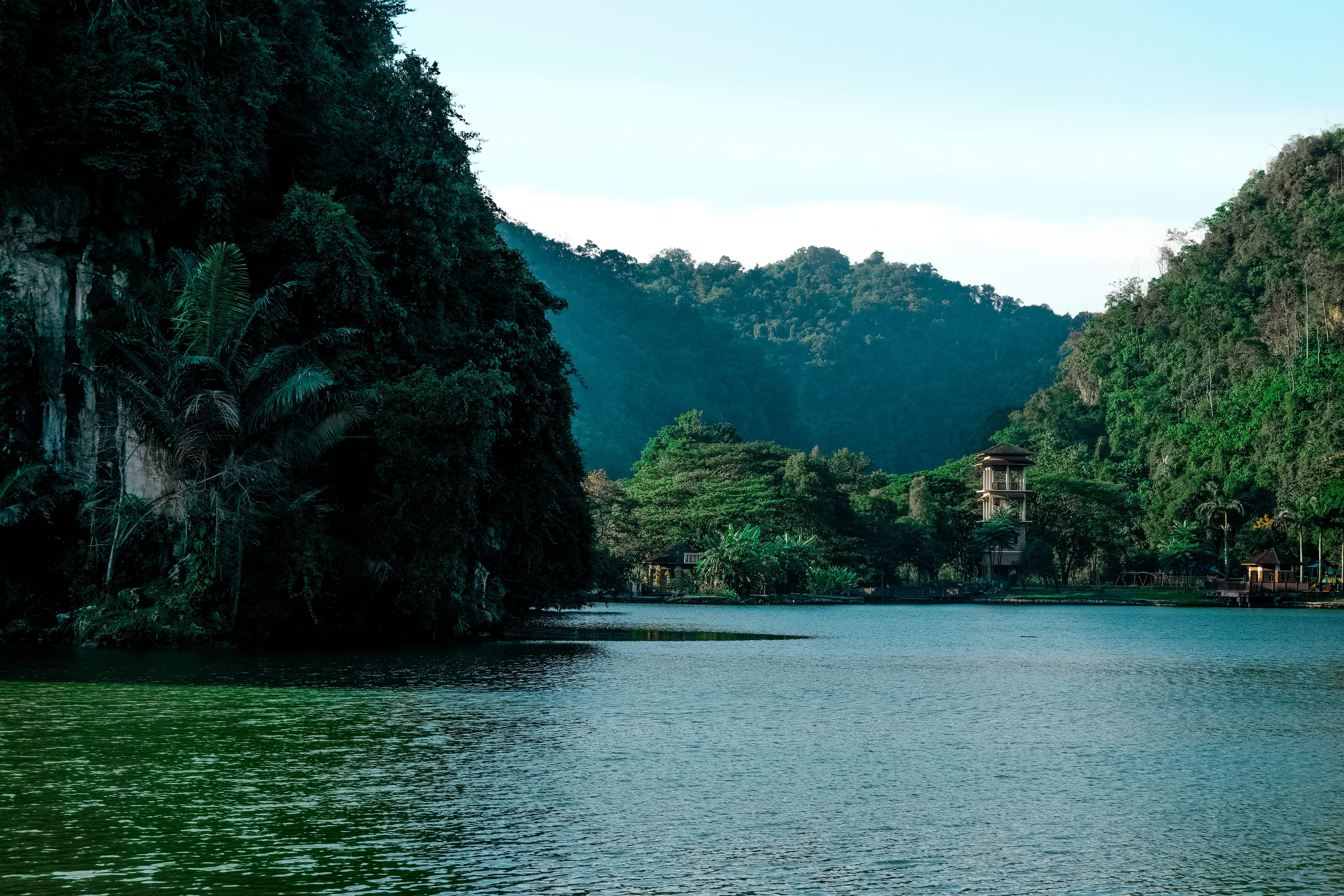 6480x4320 Green Trees Near Body of Water · Free