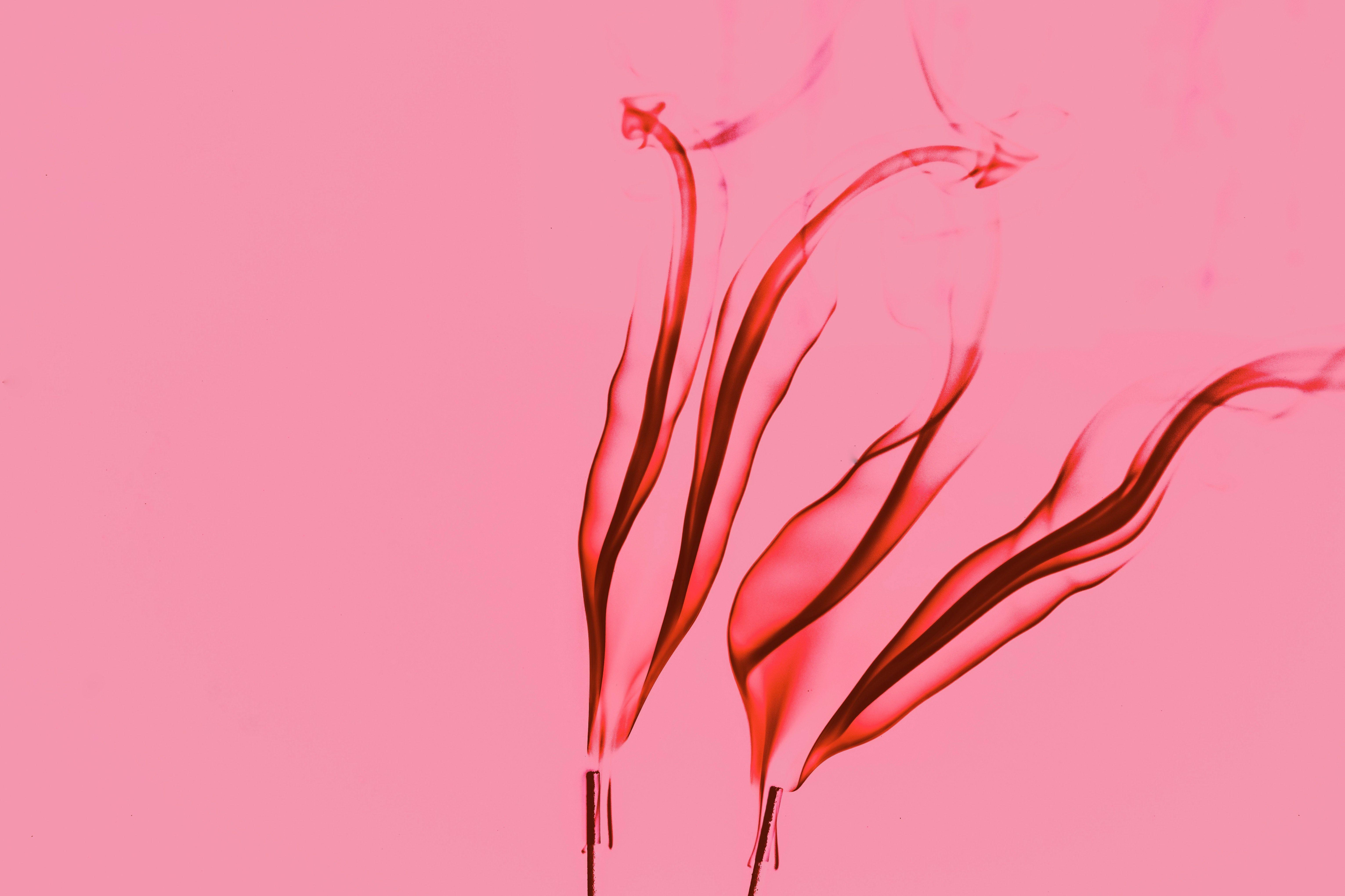 6124x4082 Pink Flame Abstract Wallpaper · Free