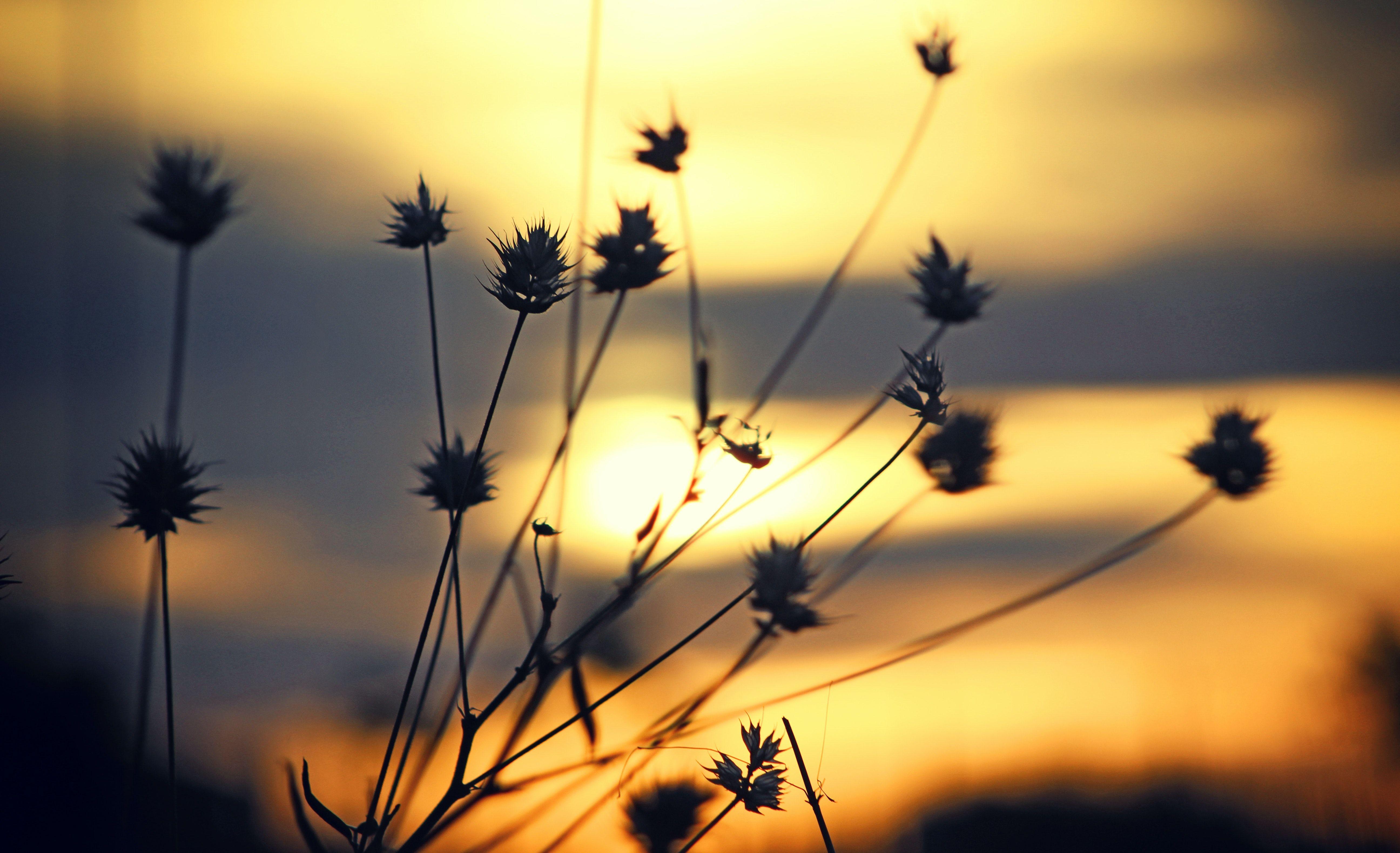 5184x3159 Free of lights, nature photography, nature wallpaper