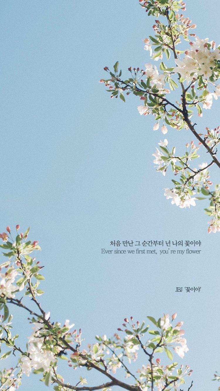750x1334 JBJ flower. คำคมเนื้อเพลง, ภาษาเกาหลี, ภาษา