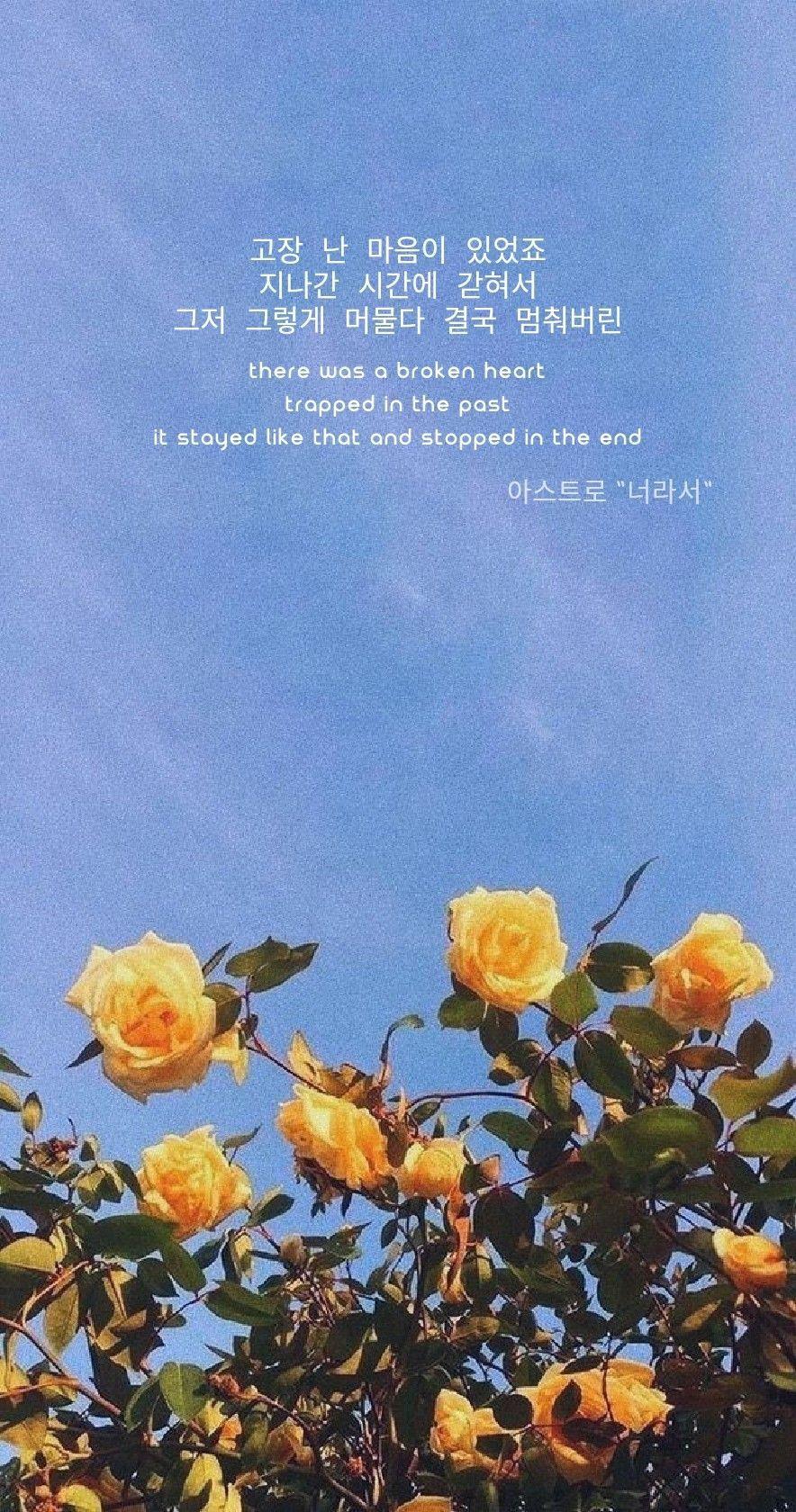 884x1680 Korean Lyrics Quotes. Flower aesthetic