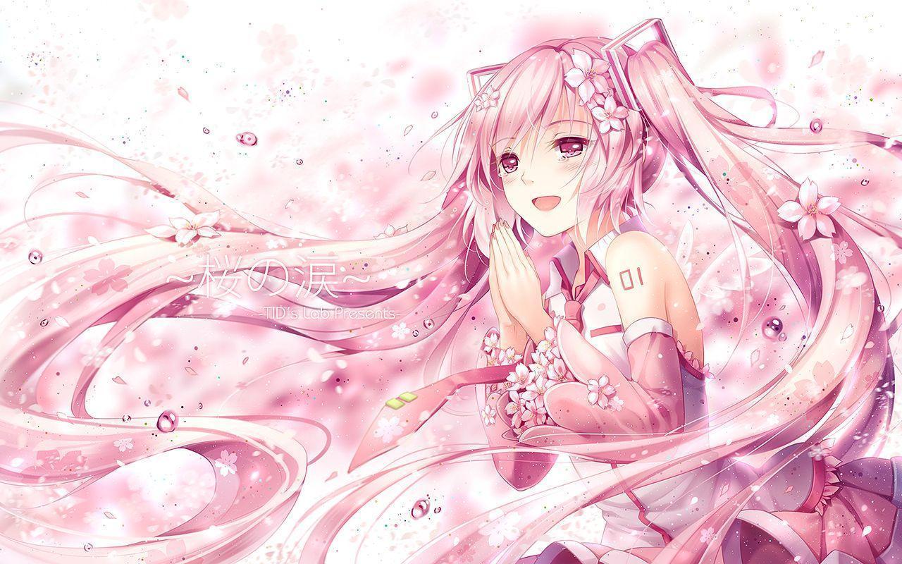 Sakura Miku Wallpapers - Top Free Sakura Miku Backgrounds - WallpaperAccess