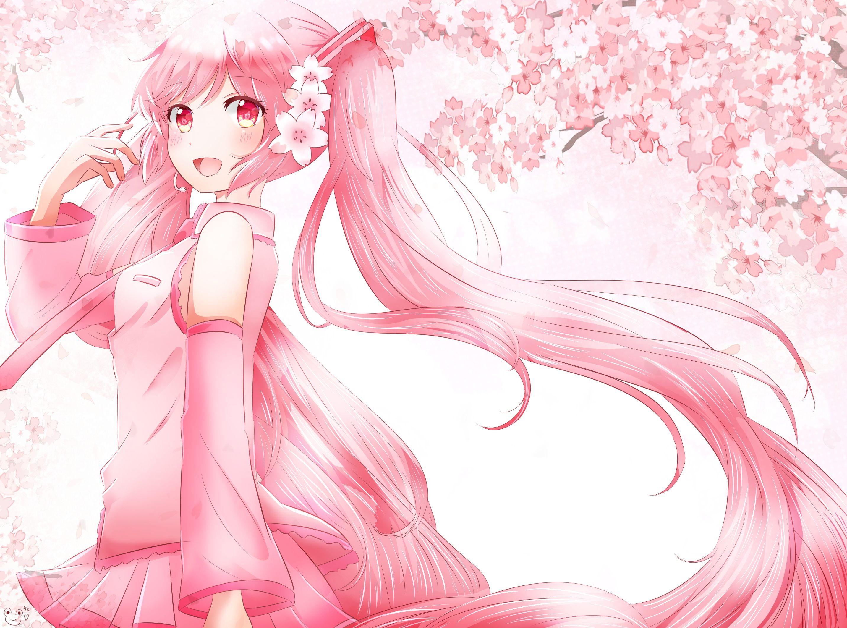 Sakura Miku Wallpapers - Top Free Sakura Miku Backgrounds - WallpaperAccess