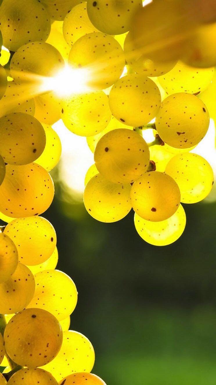 744x1322 Sweet grapes and sunshine make a fabulous color!. Grape wallpaper
