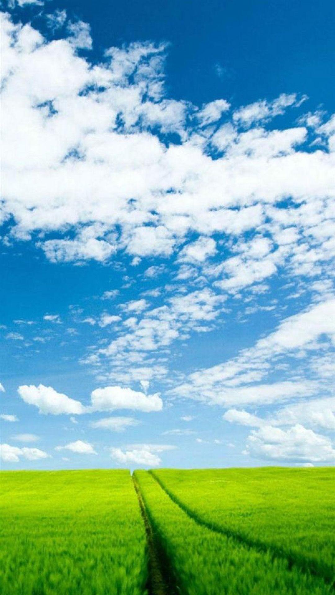 1080x1920 Nature Sunshine Green Corp Field Cloudy Sky iPhone 8 Wallpaper