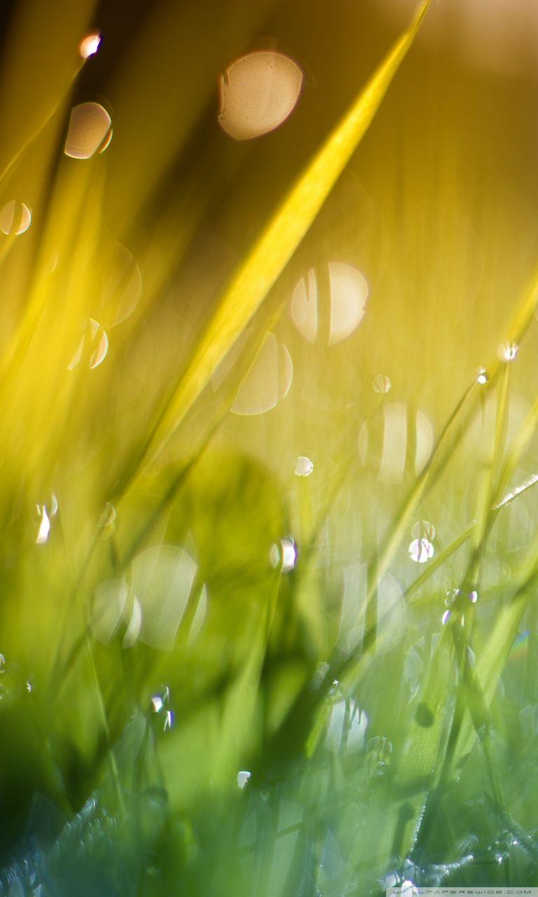 768x1280 Good Morning Sunshine Ultra HD Desktop Background Wallpaper for 4K