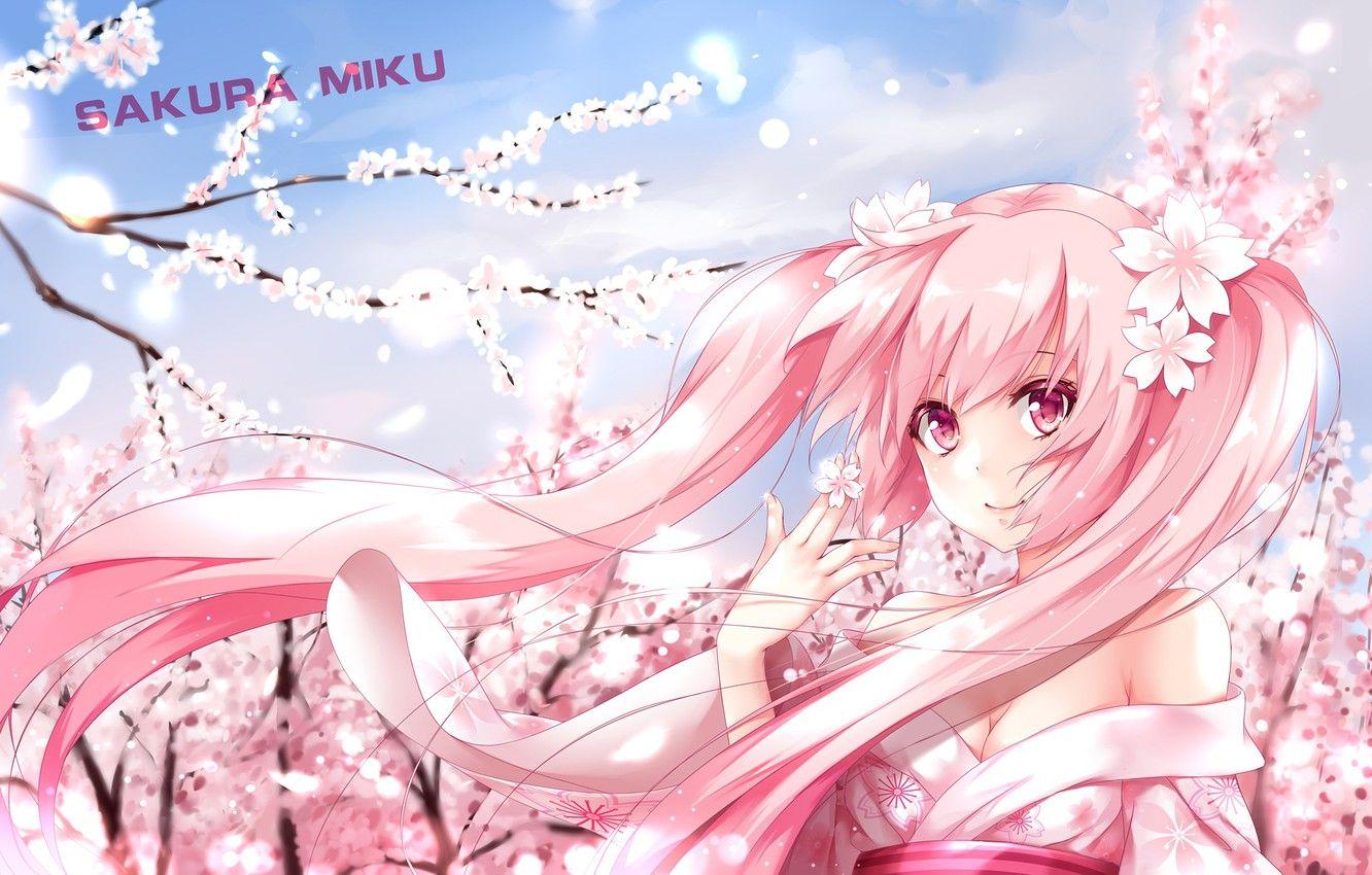 Download wallpaper 1280x960 pink hair anime girl sakura miku vocaloid  standard 43 fullscreen 1280x960 hd background 7192
