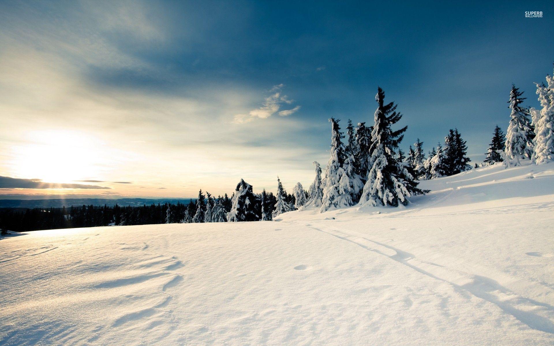 1920x1200 Snowy Mountain Forest Sunshine wallpaper. Snowy Mountain Forest Sunshine