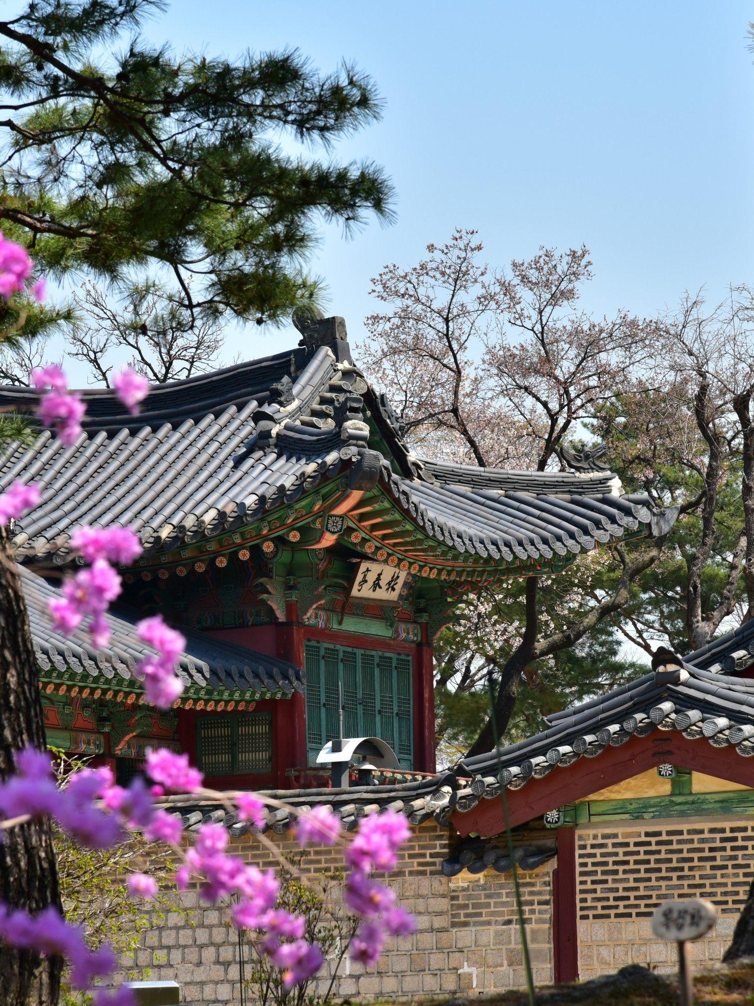 Korean Flower Wallpapers Top Free Korean Flower Backgrounds WallpaperAccess