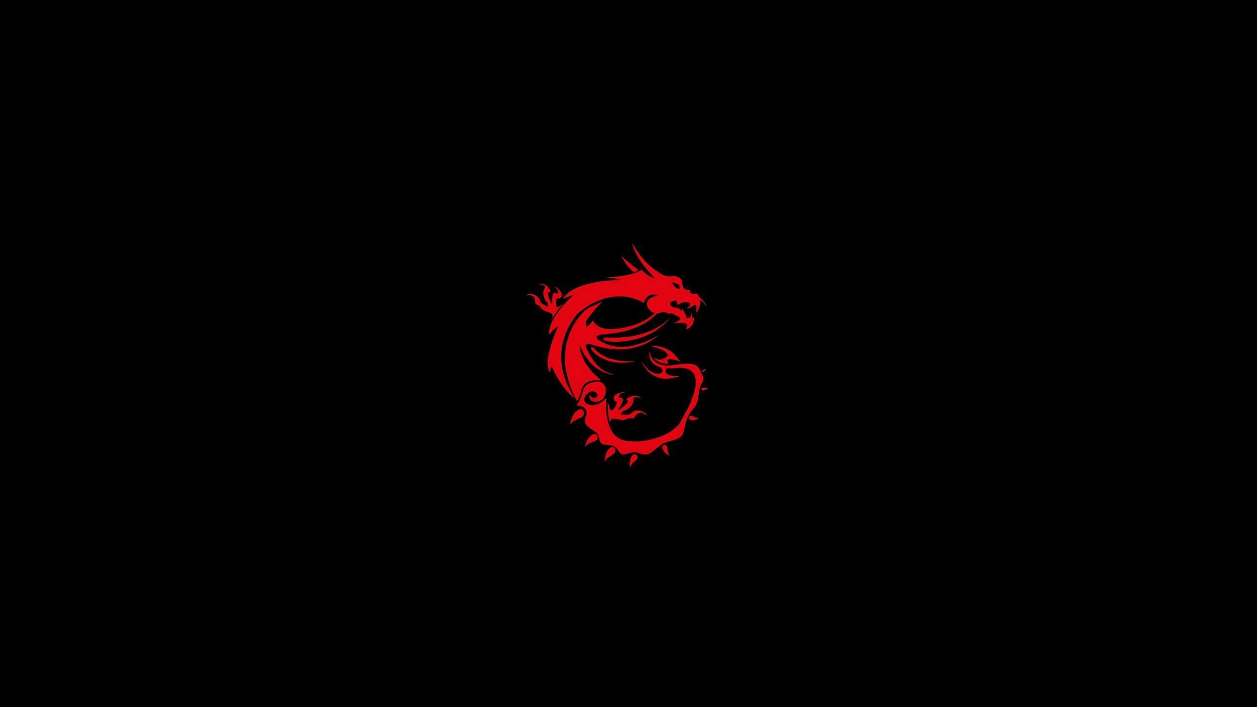 2560x1440 Msi Dragon Logo, HD Computer, 4k Wallpaper, Image, Background