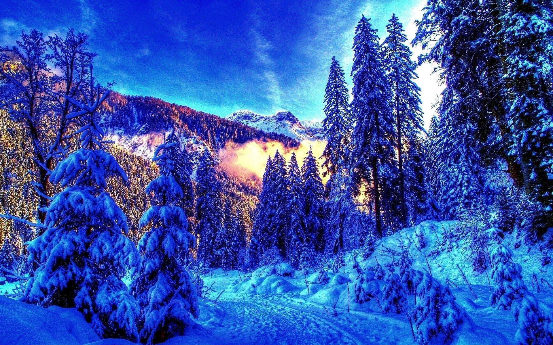 1920x1200 Bright Background