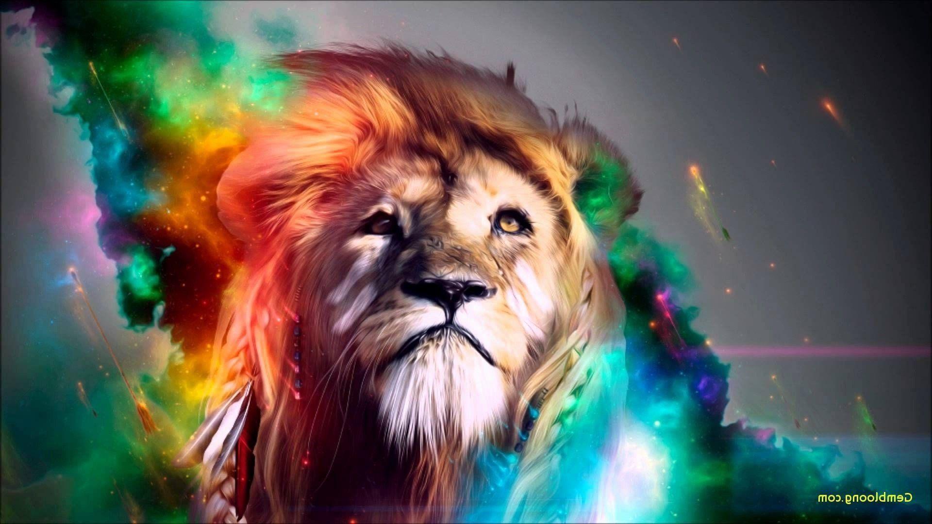 1920x1080 Full HD New Wallpaper Lion