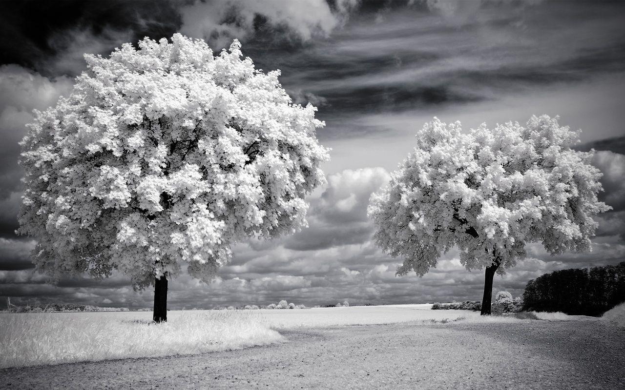 1280x800 Spring Vintage desktop PC and Mac wallpaper