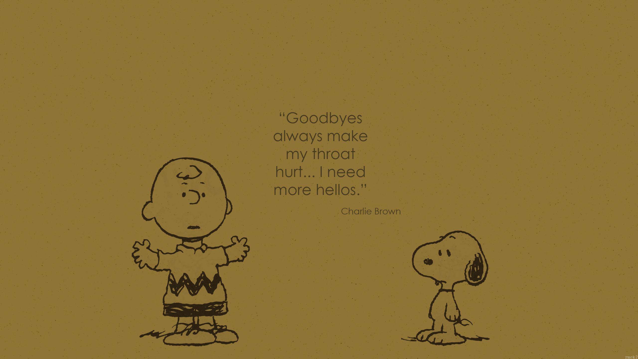 2560x1440 Charlie Brown Desktop Wallpaper