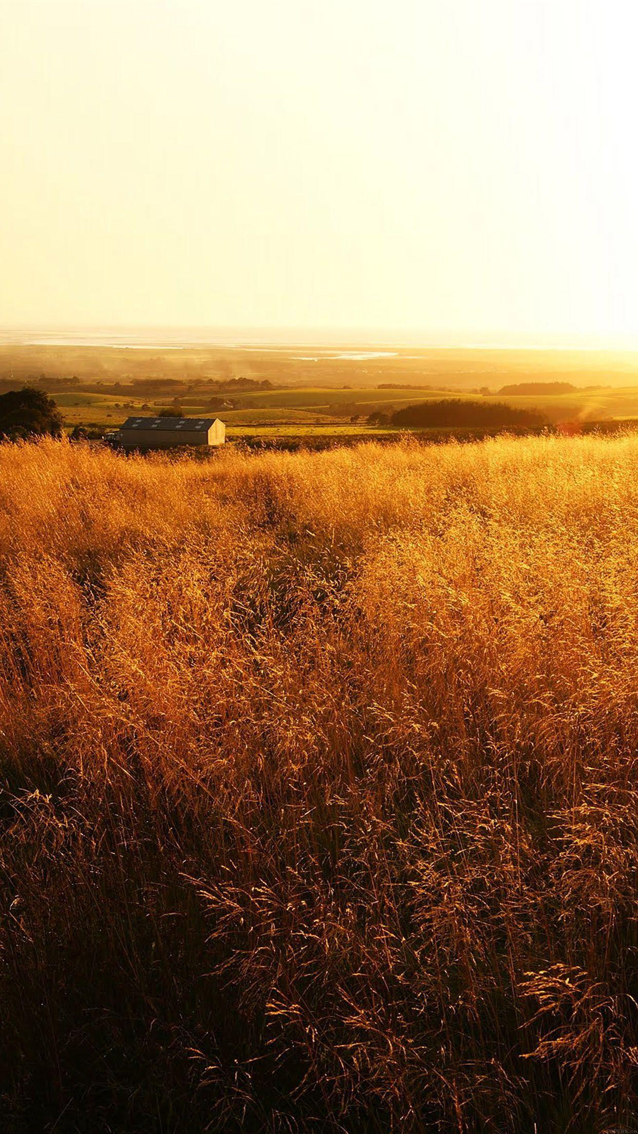 1242x2208 The Gladiator Farm Nature Mobile Wallpaper