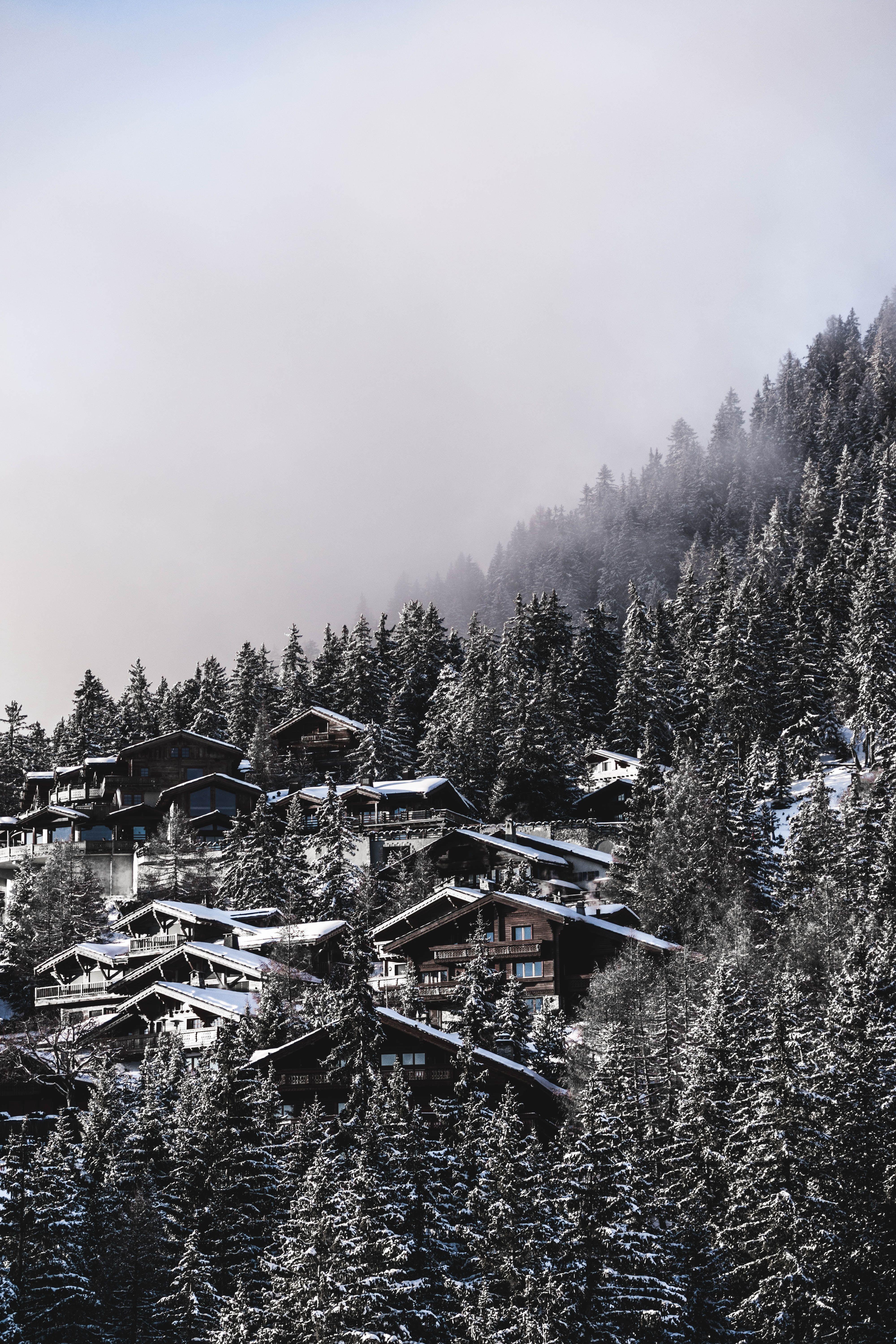 4000x6000 grayscale and aerial view photography of village surrounded