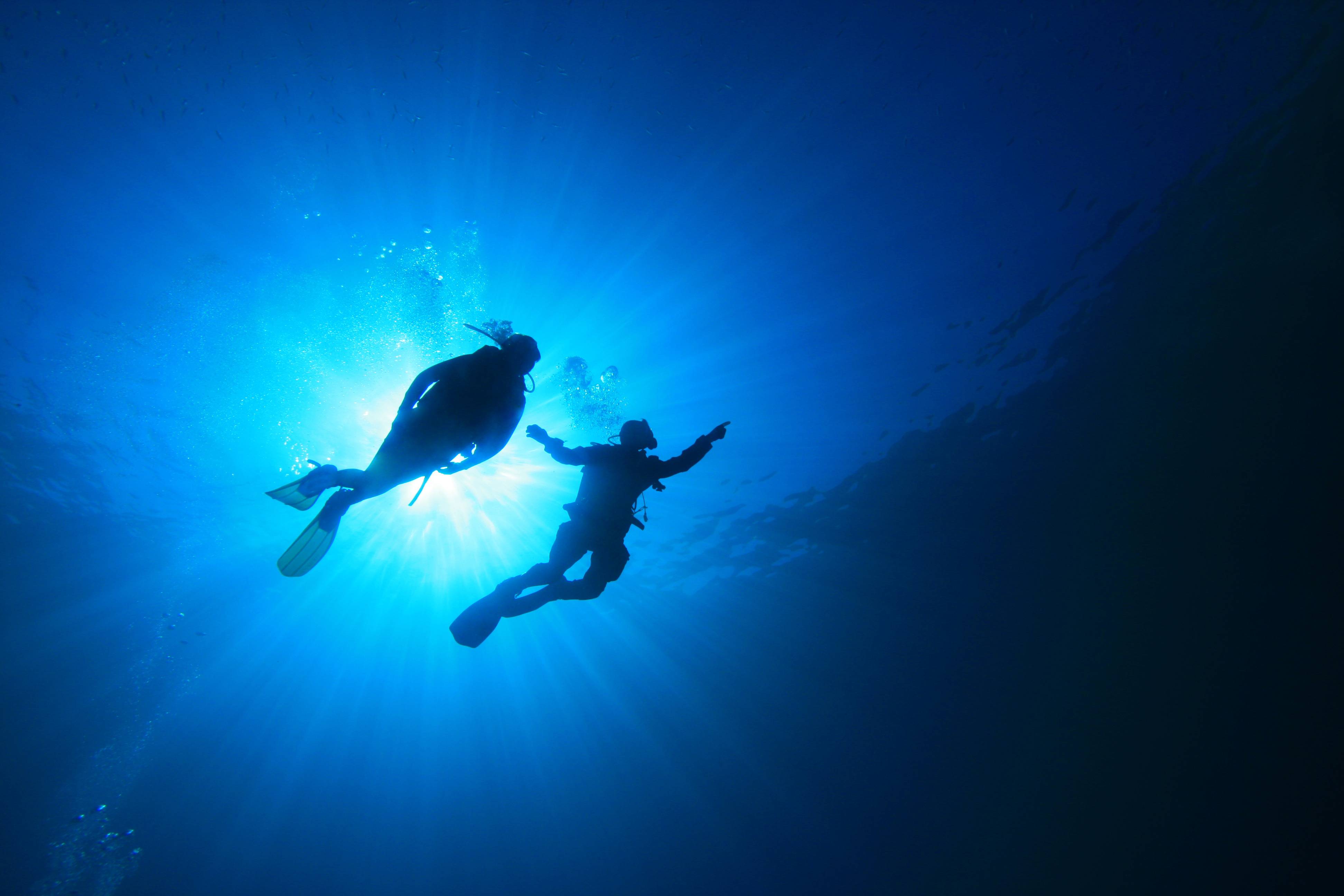 Scuba Diver Wallpaper 4K Underwater Under the Sea 8281