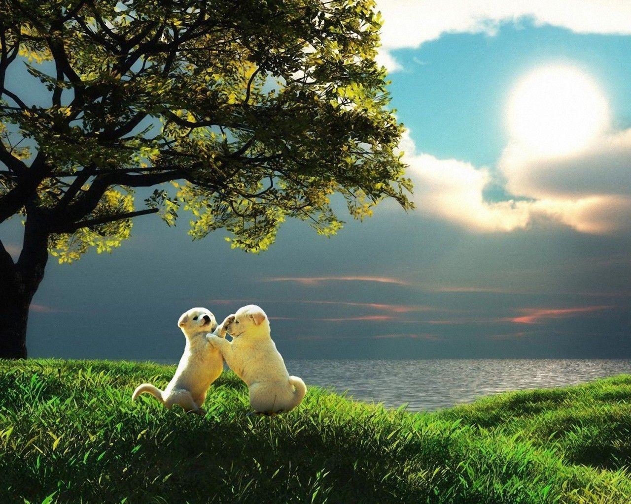 1280x1024 Animals Wallpaper HD Desktop Wallpaper Cool Image HD Download Windows Colourfull Free Lovely Wallpaper 1280x1024
