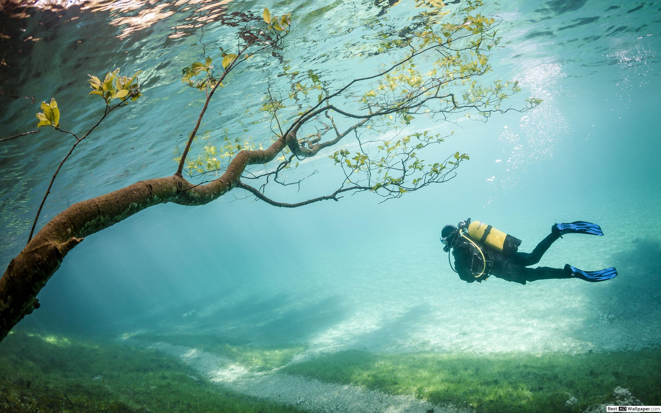 2560x1600 Underwater Scuba Diving HD wallpaper download
