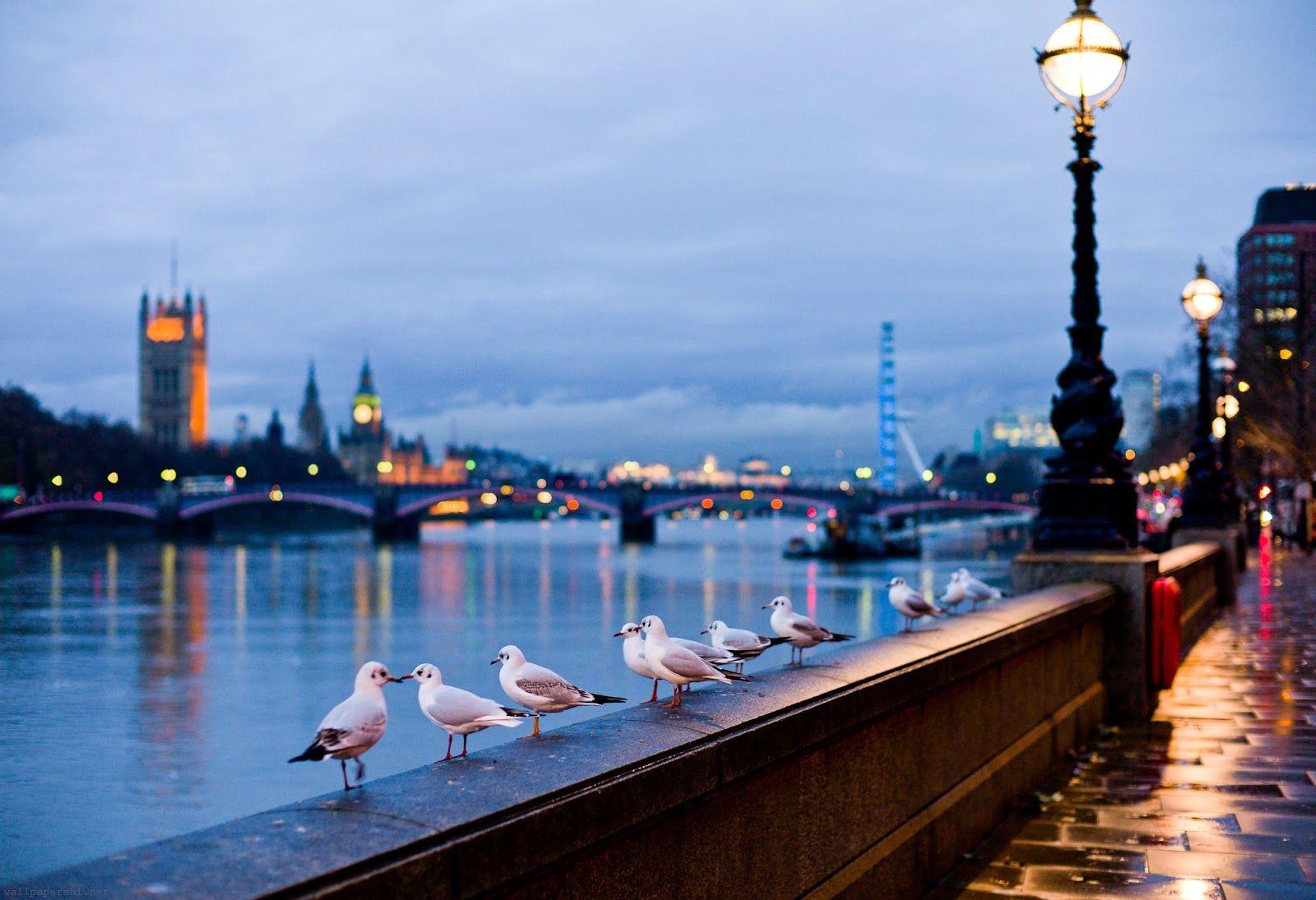 1600x1095 best beauty places london high resolution best size HD wallpaper