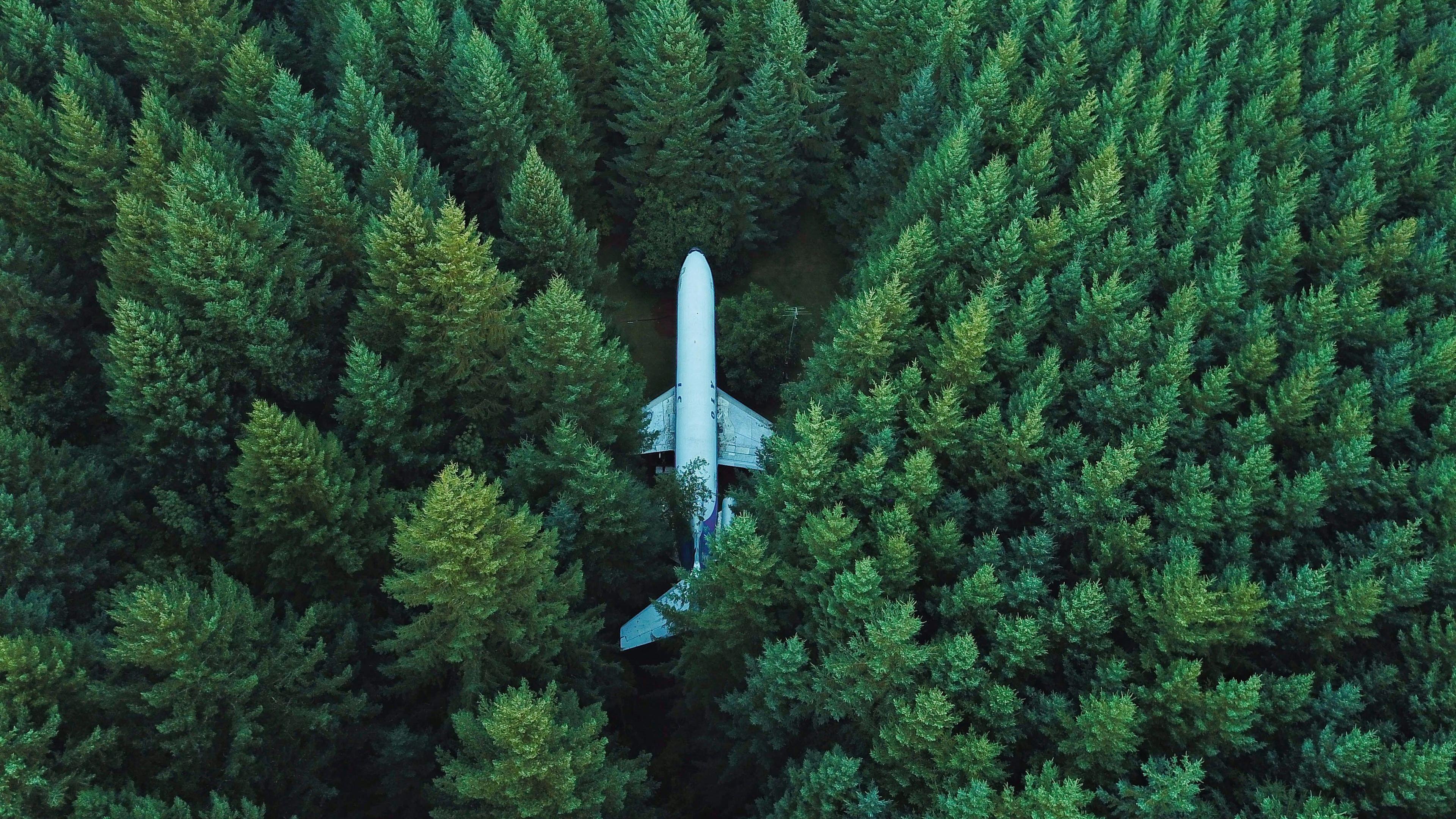 Drone Forest Wallpapers - Top Free Drone Forest Backgrounds -  WallpaperAccess