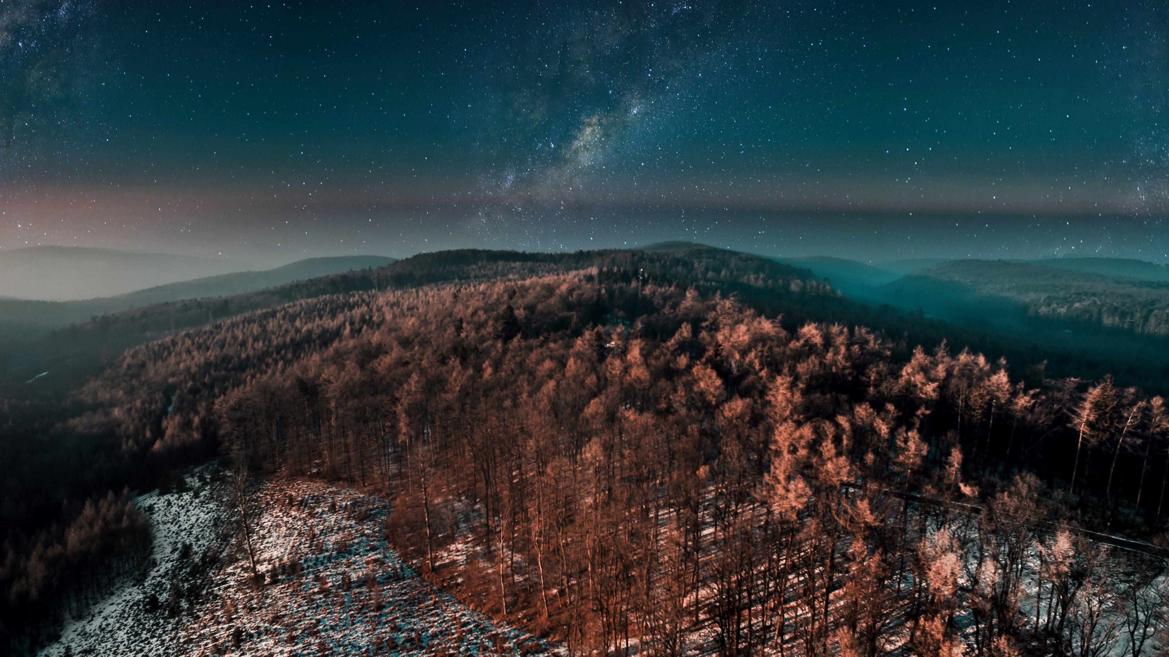 3840x2157 Wallpaper / forest snow tree and drone HD 4k wallpaper