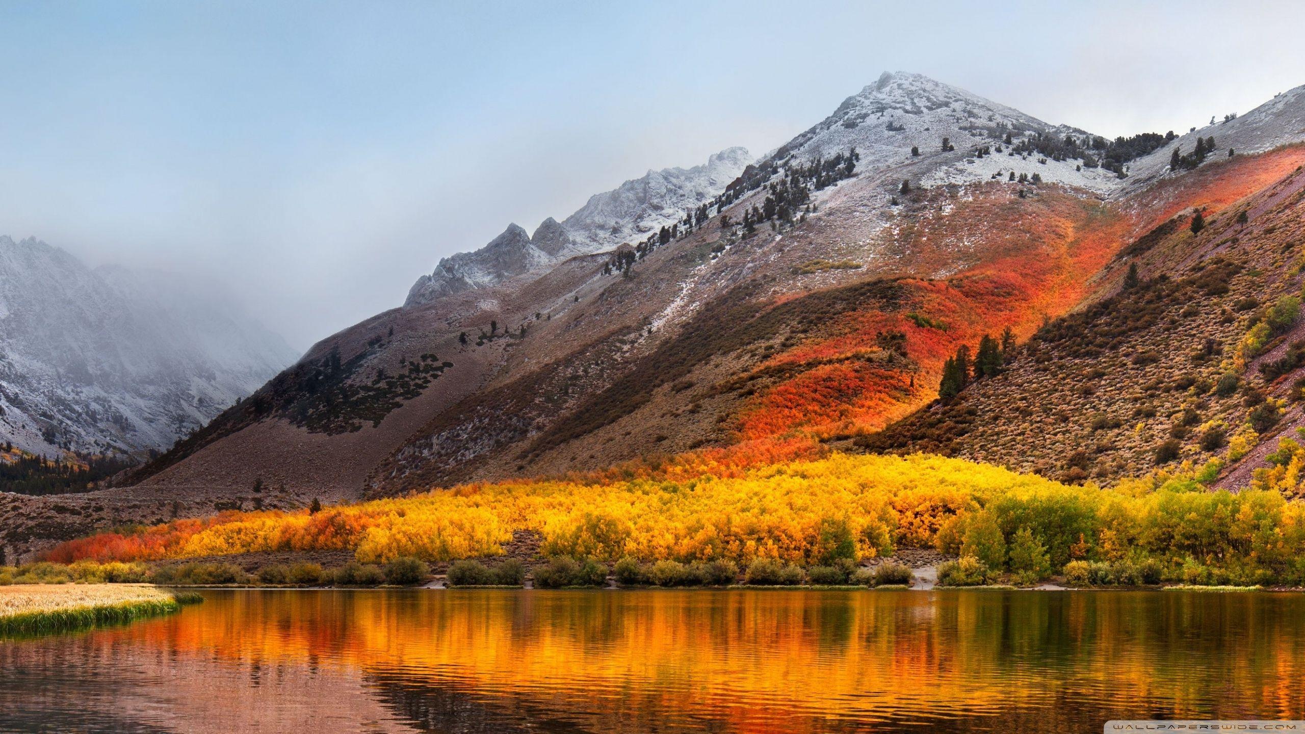 2560x1440 Apple Mac OS X High Sierra Ultra HD Desktop Background Wallpaper for 4K UHD TV : Widescreen & UltraWide Desktop & Laptop : Multi Display, Dual Monitor : Tablet