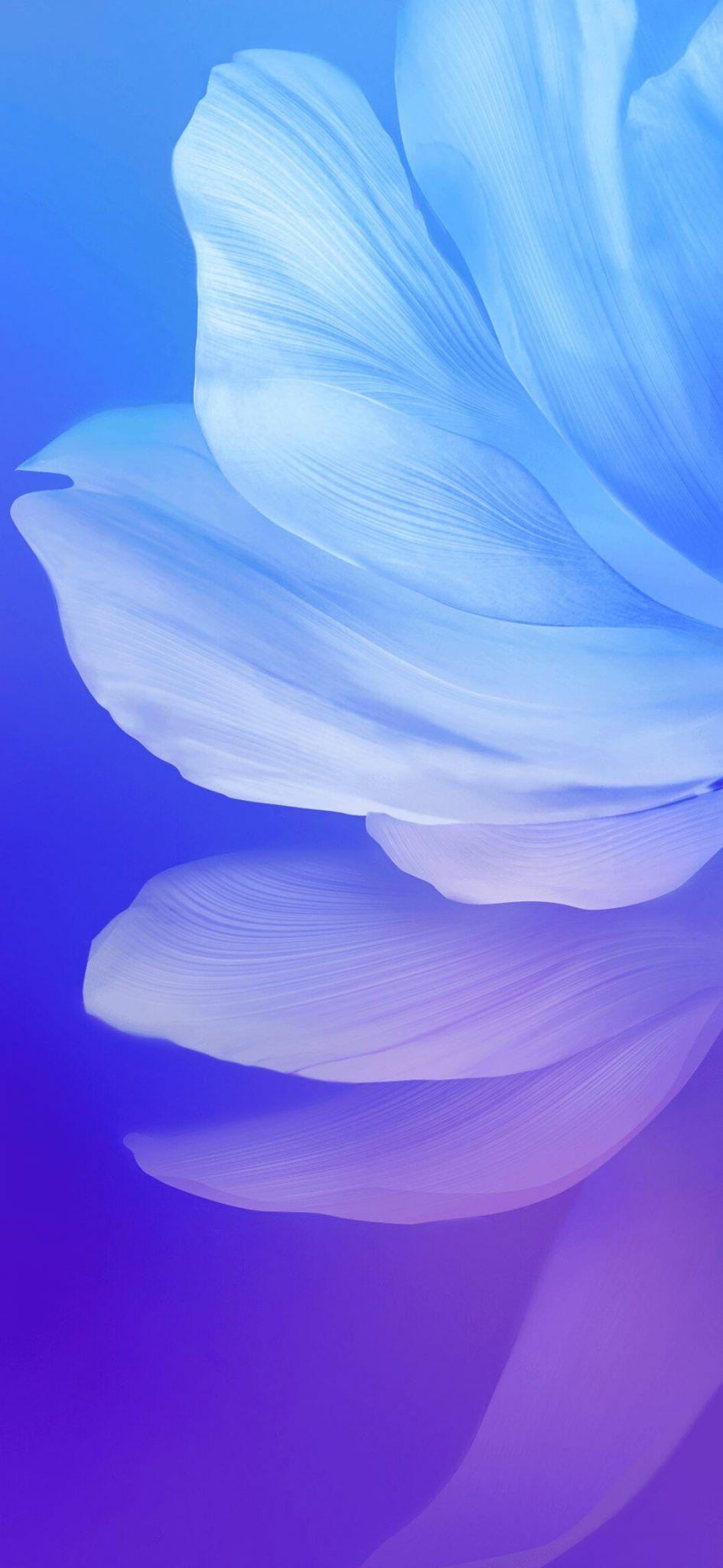 945x2048 V17 Wallpaper