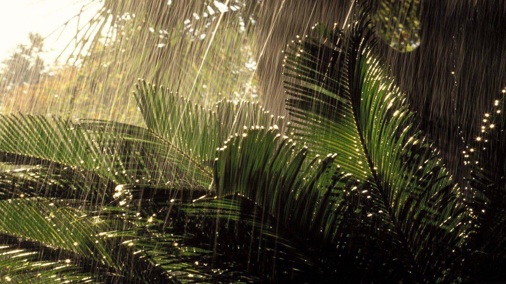 1920x1080 Rain Wallpaper HD