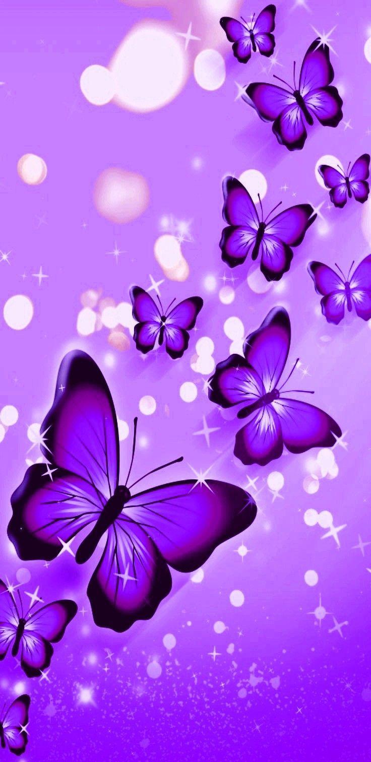 736x1512 Papeis De Parede De Borboletas, Download Wallpaper