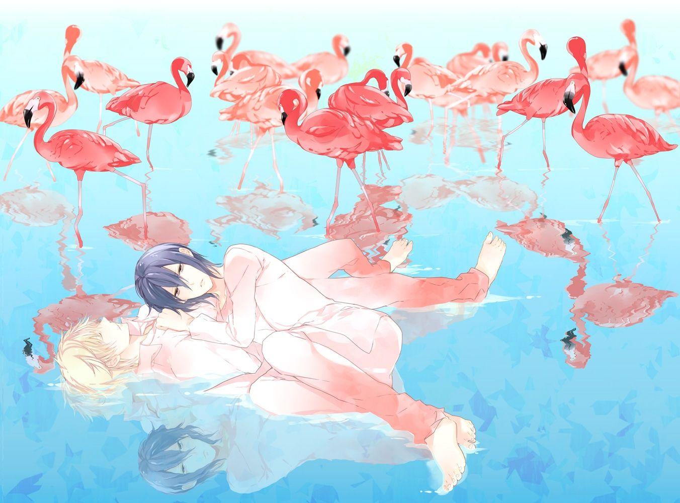 1352x1000 water yaoi durarara flamingos heiwajima shizuo anime anime boys