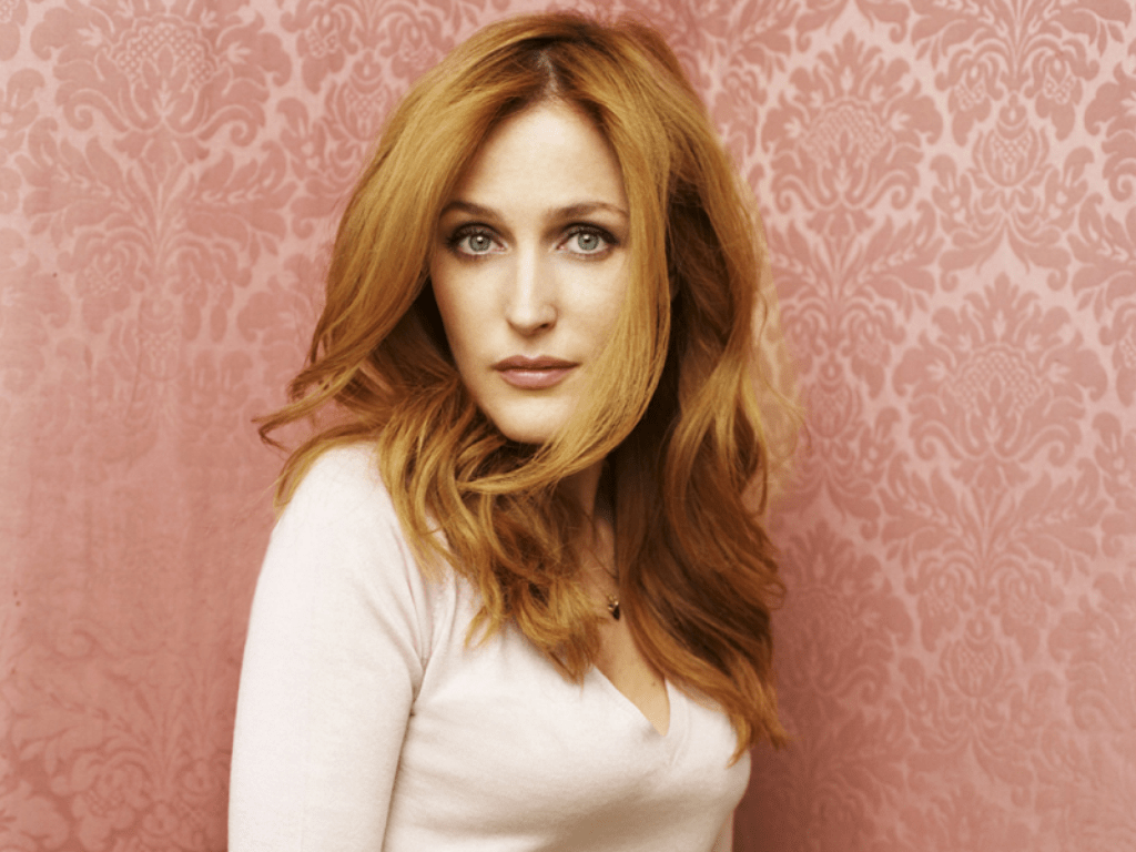 1024x768 Gillian Anderson Wallpaper 1080p