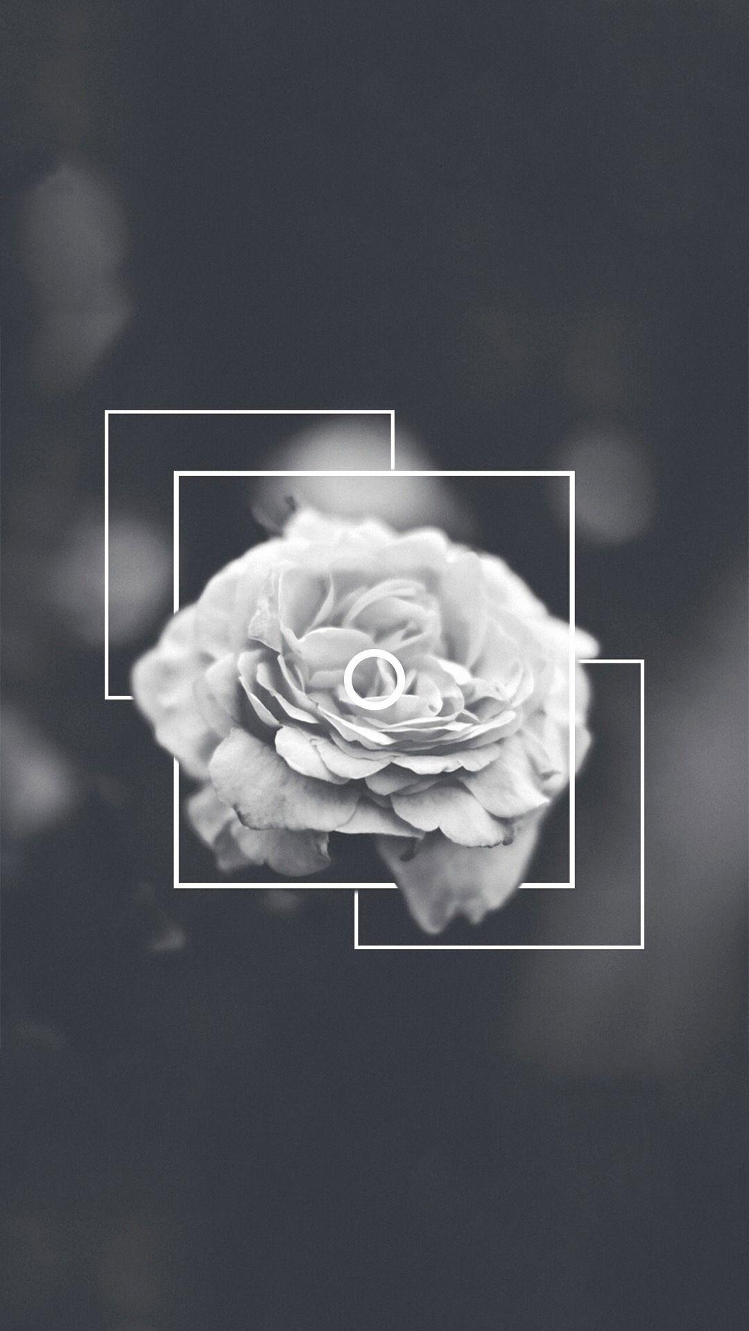 1080x1920 White Aesthetic Wallpaper