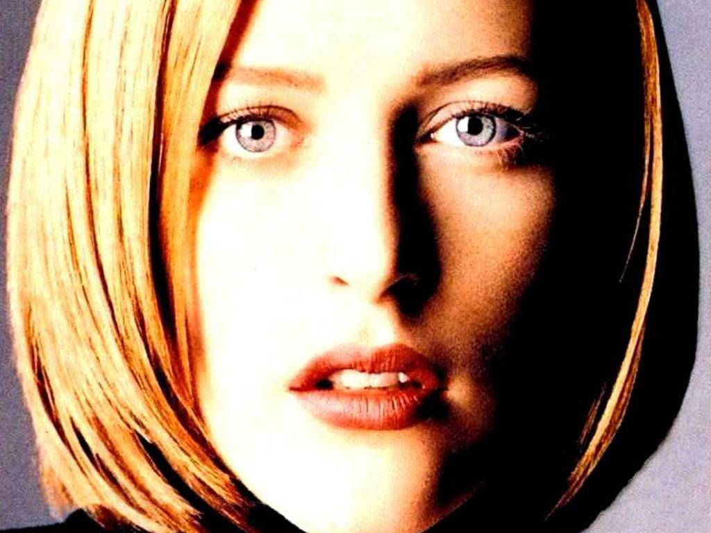 1024x768 Gillian Anderson Wallpaper Free Gillian Anderson 4