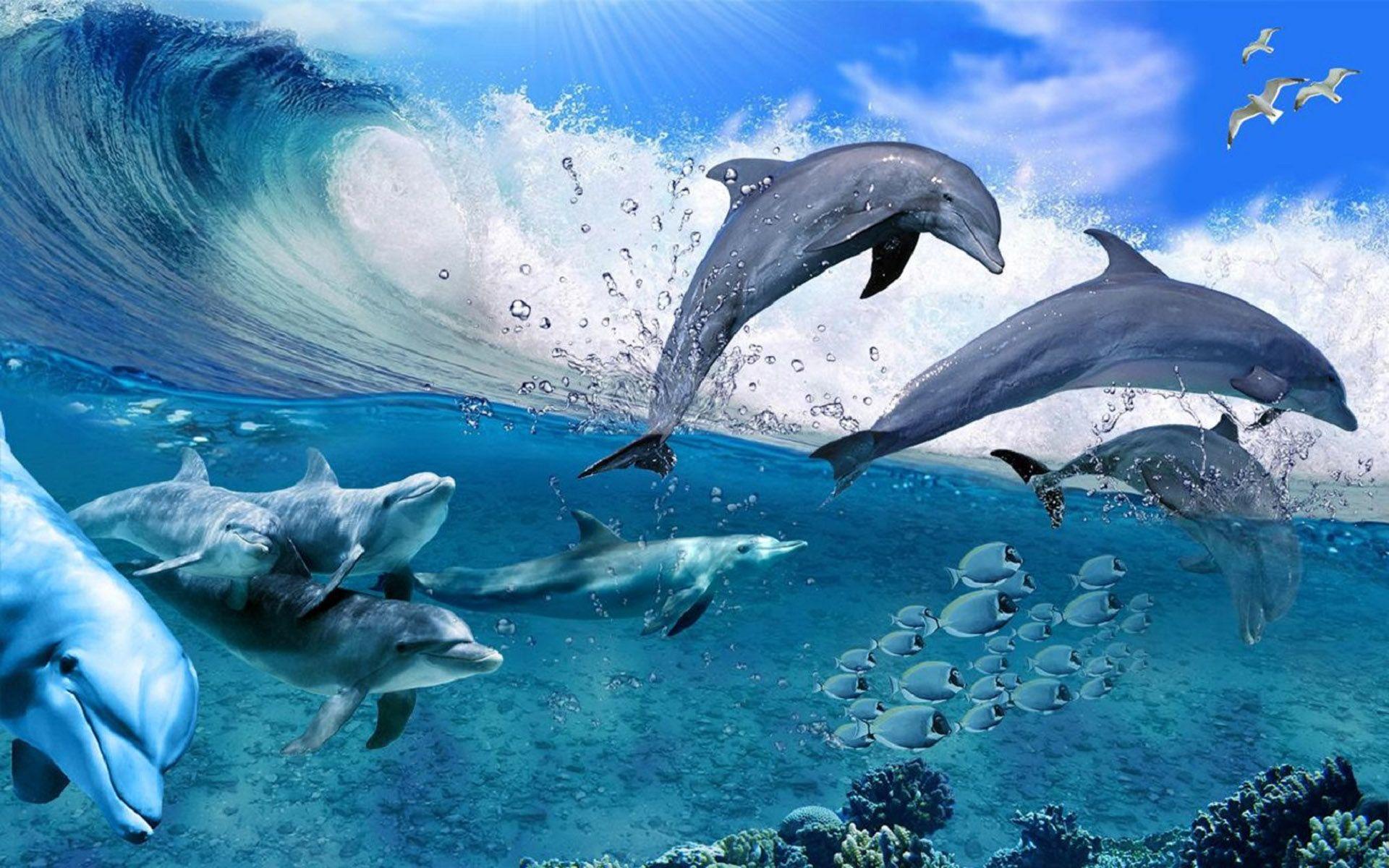 1920x1200 Happy Dolphins Game Sea Fish Coral Waves, Summer Wallpaper HD For Deskx1200 :