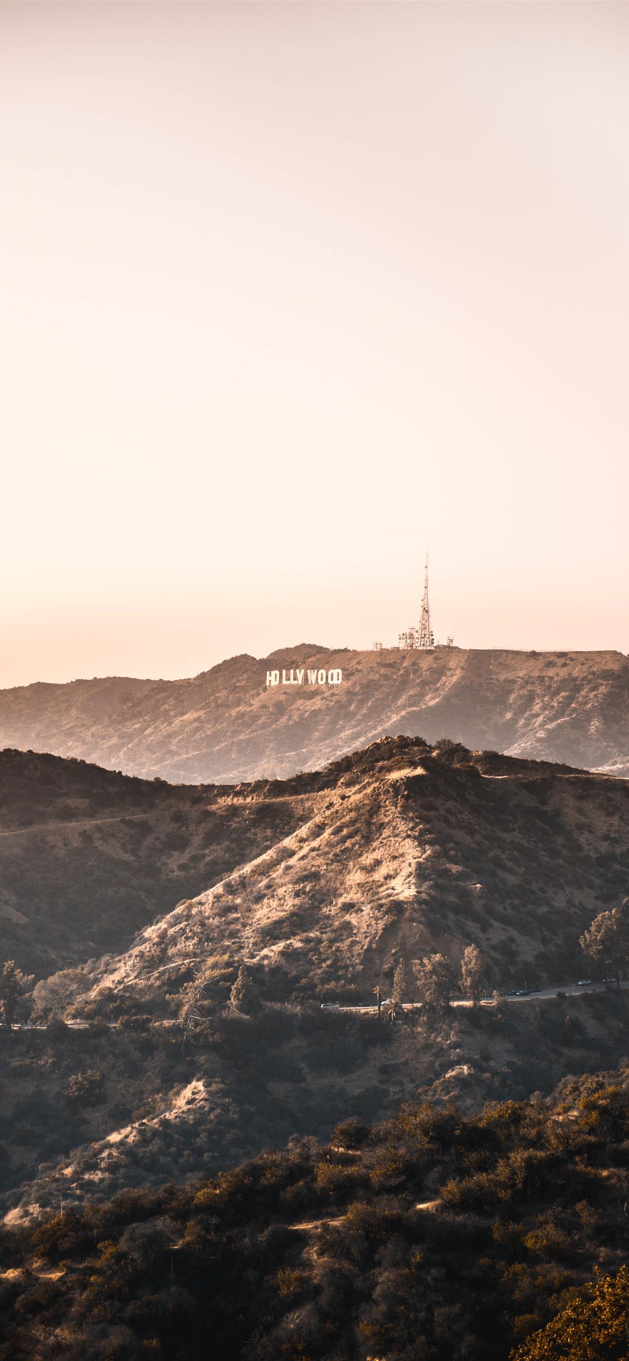 1242x2688 Hollywood Hills iPhone Wallpaper Free Download