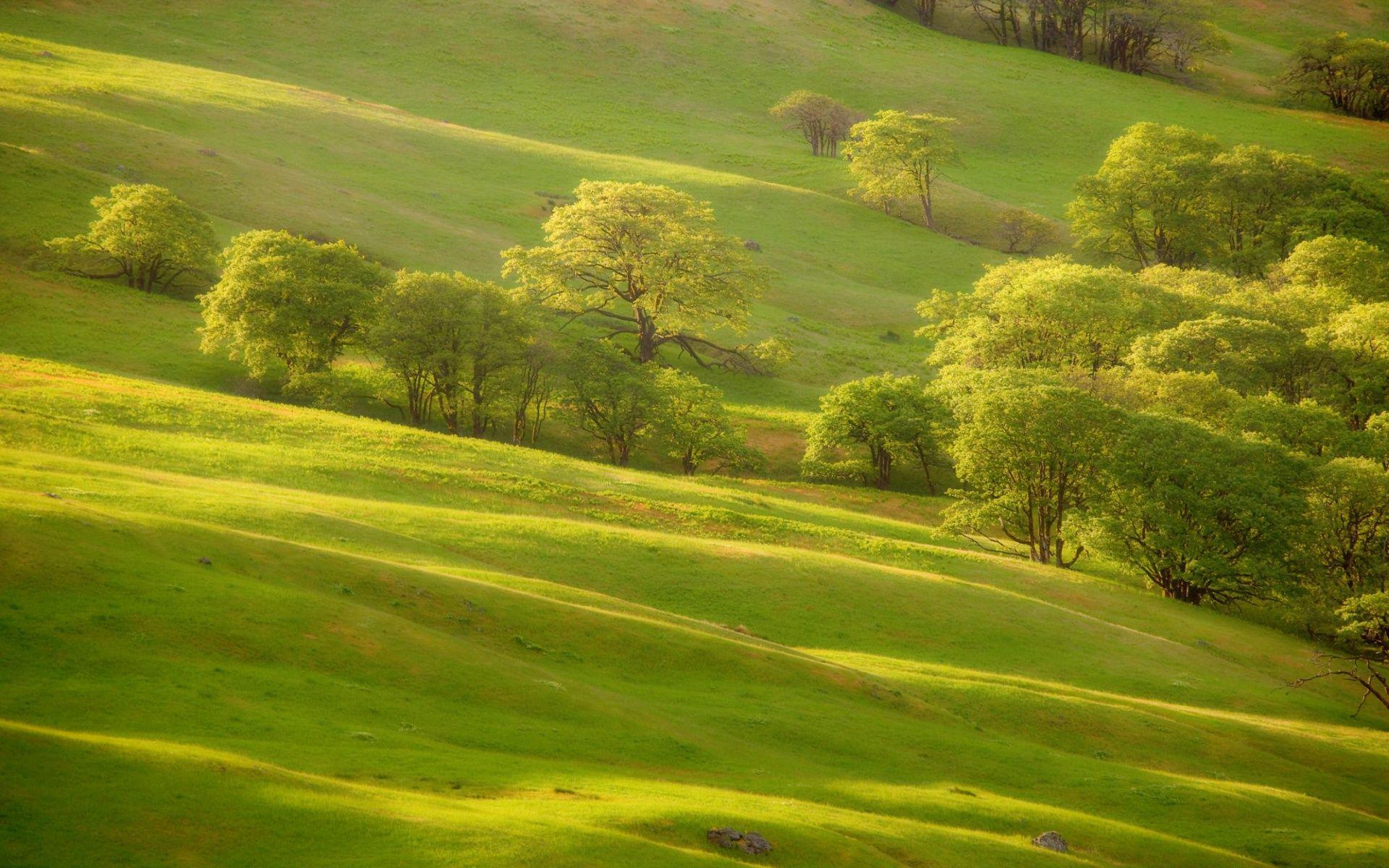 1920x1200 Hills Wallpaper. Sky Hills Wallpaper
