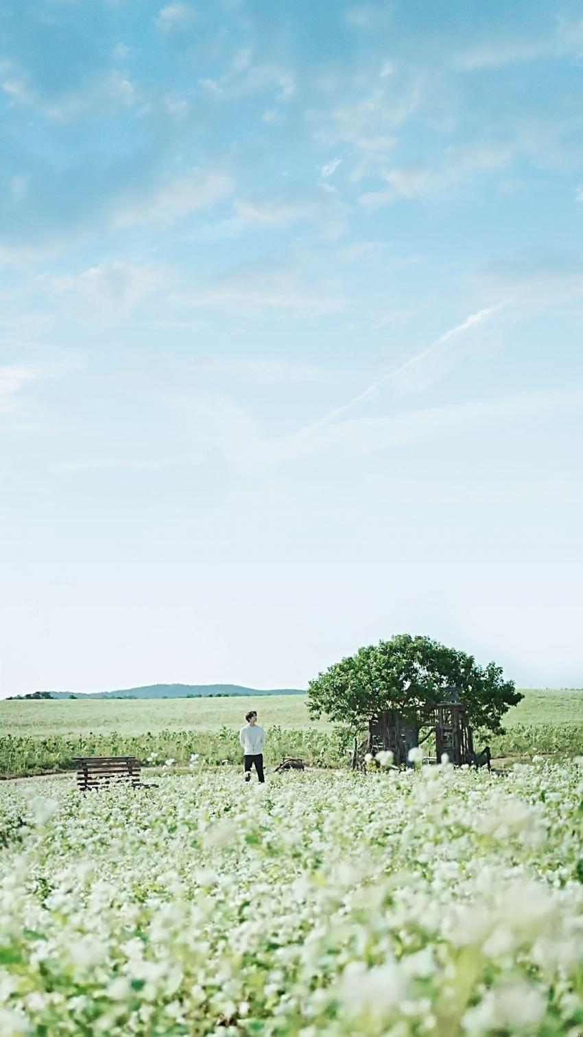 850x1511 Earie refreshing. Phong cảnh, Trai đẹp, Gong yoo