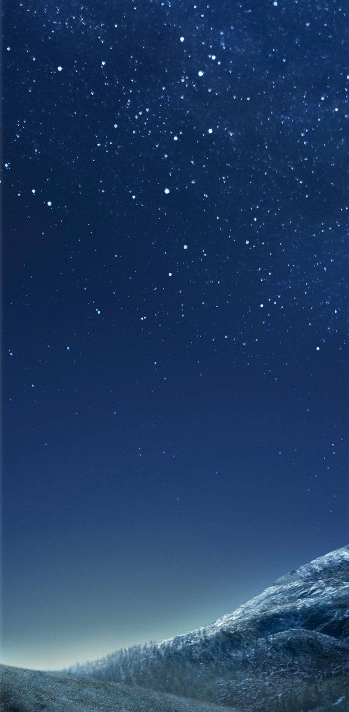 1204x2458 4k Cell Phone Wallpaper