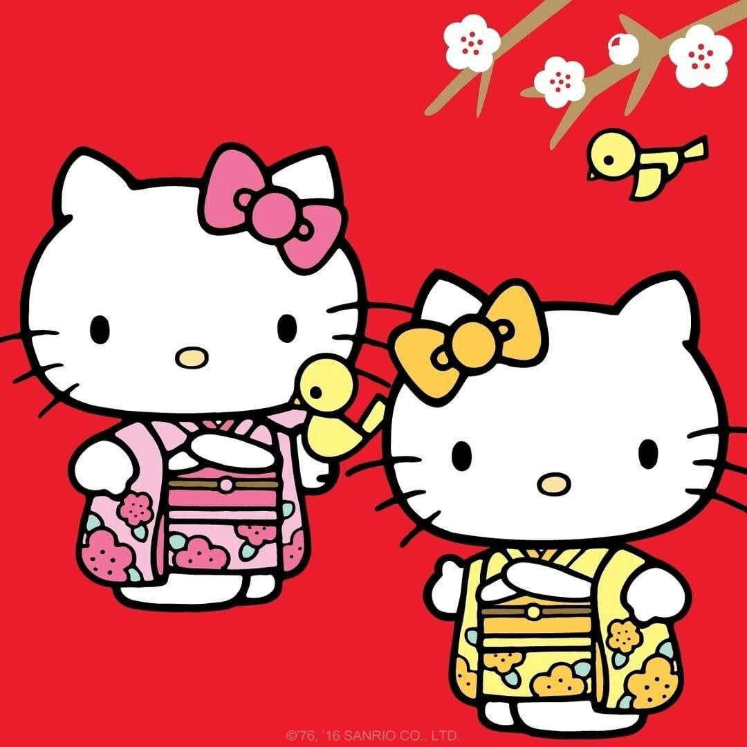 1080x1080 Hello Kitty. Hello kitty, Kitty