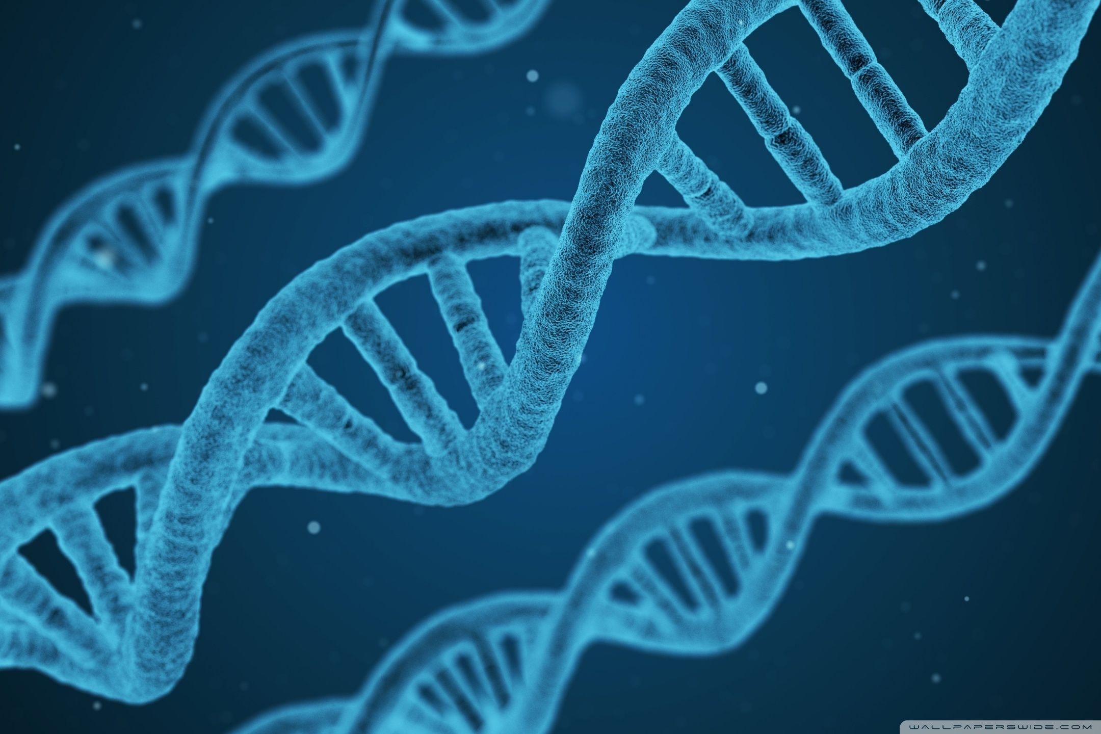 2160x1440 DNA Microscope Ultra HD Desktop Background Wallpaper for 4K UHD TV : Widescreen & UltraWide Desktop & Laptop : Multi Display, Dual Monitor : Tablet