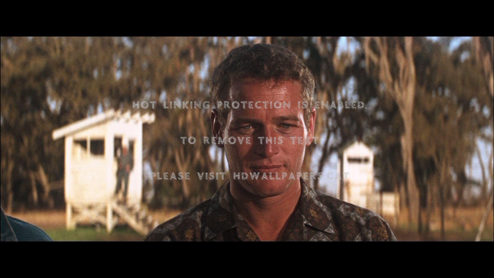 1920x1080 cool hand luke 3 paul newman entertainment