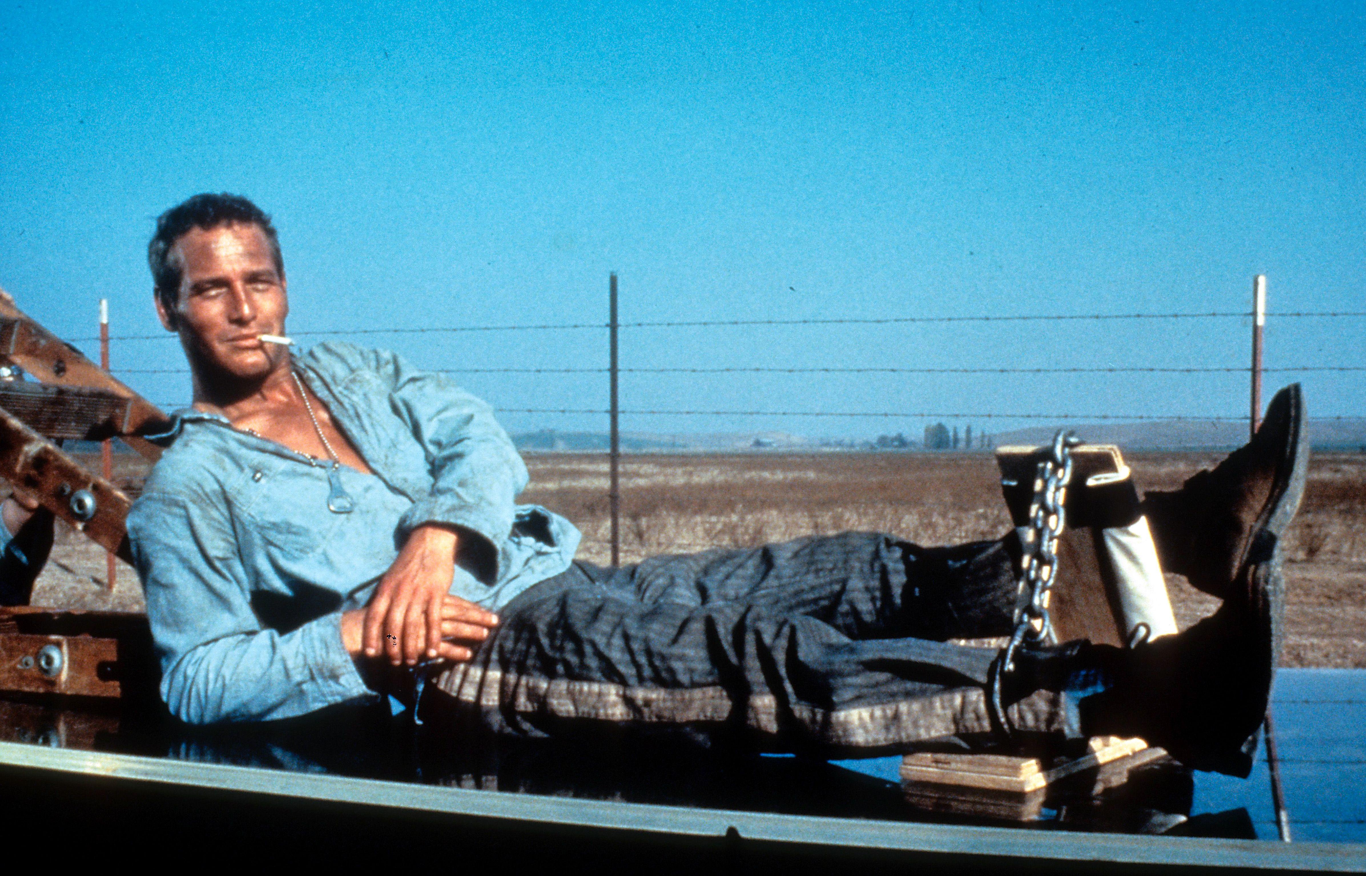 4785x3068 Cool Hand Luke (1967)
