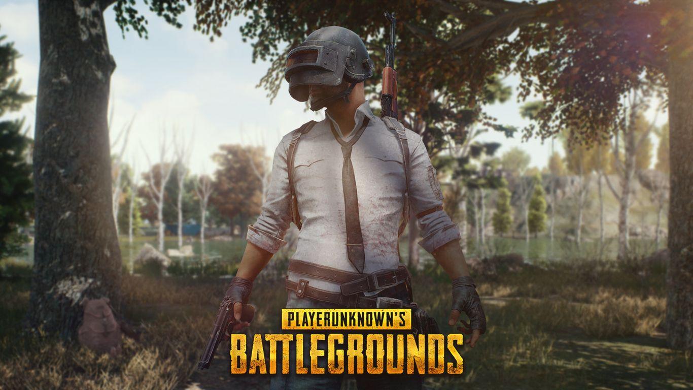 1366x768 Pubg Mobile Helmet Guy 1366x768 Resolution HD 4k