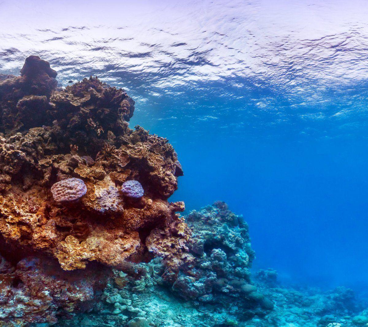 1200x1066 Download Pixel 2 wallpaper (Keep Looking, Underwater, Rainy day)