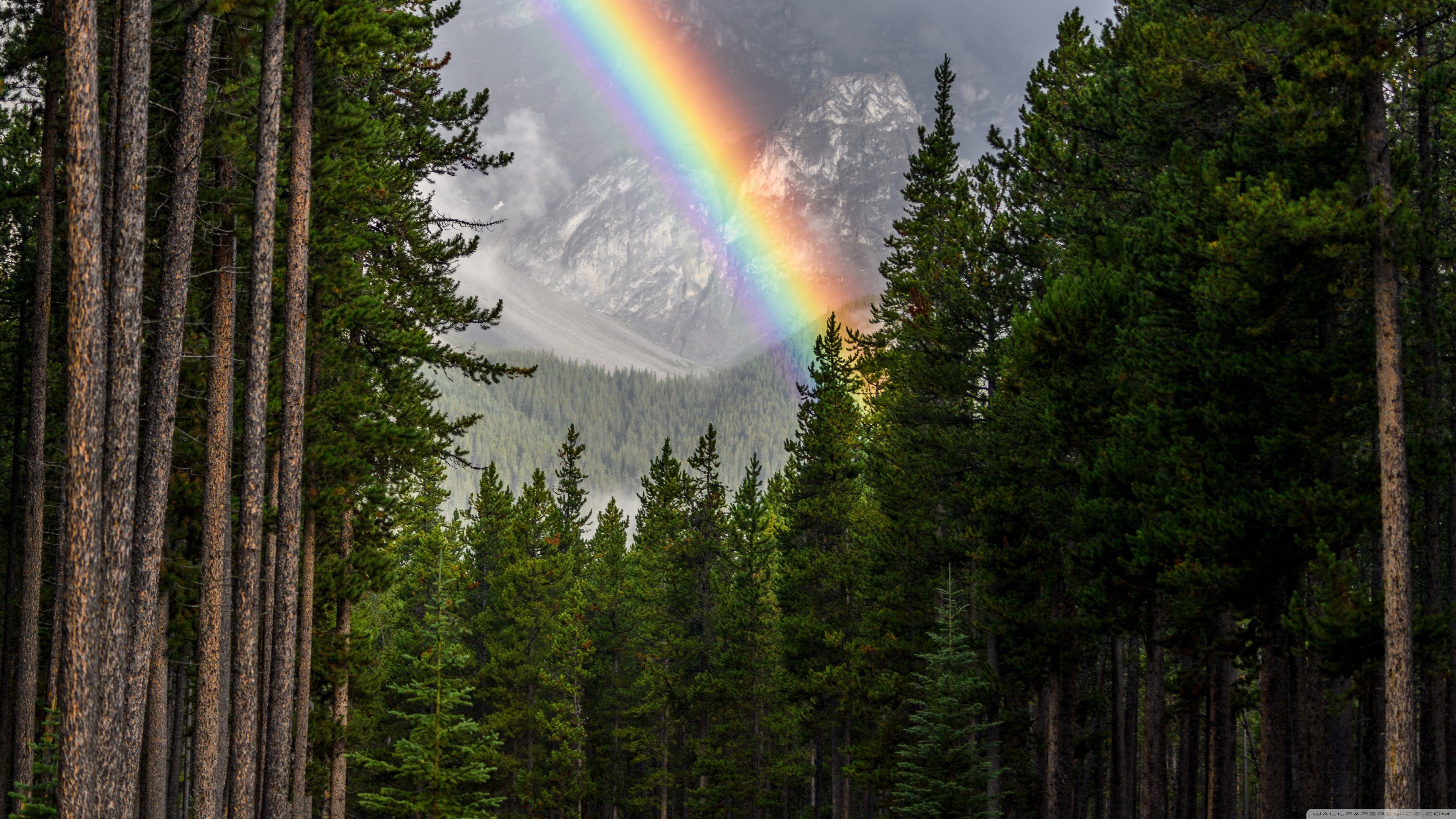 3840x2160 Rainbow, Forest, Banff National Park Ultra HD Desktop Background