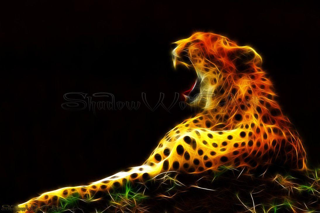 Cool Cheetah Wallpapers - Top Free Cool Cheetah Backgrounds